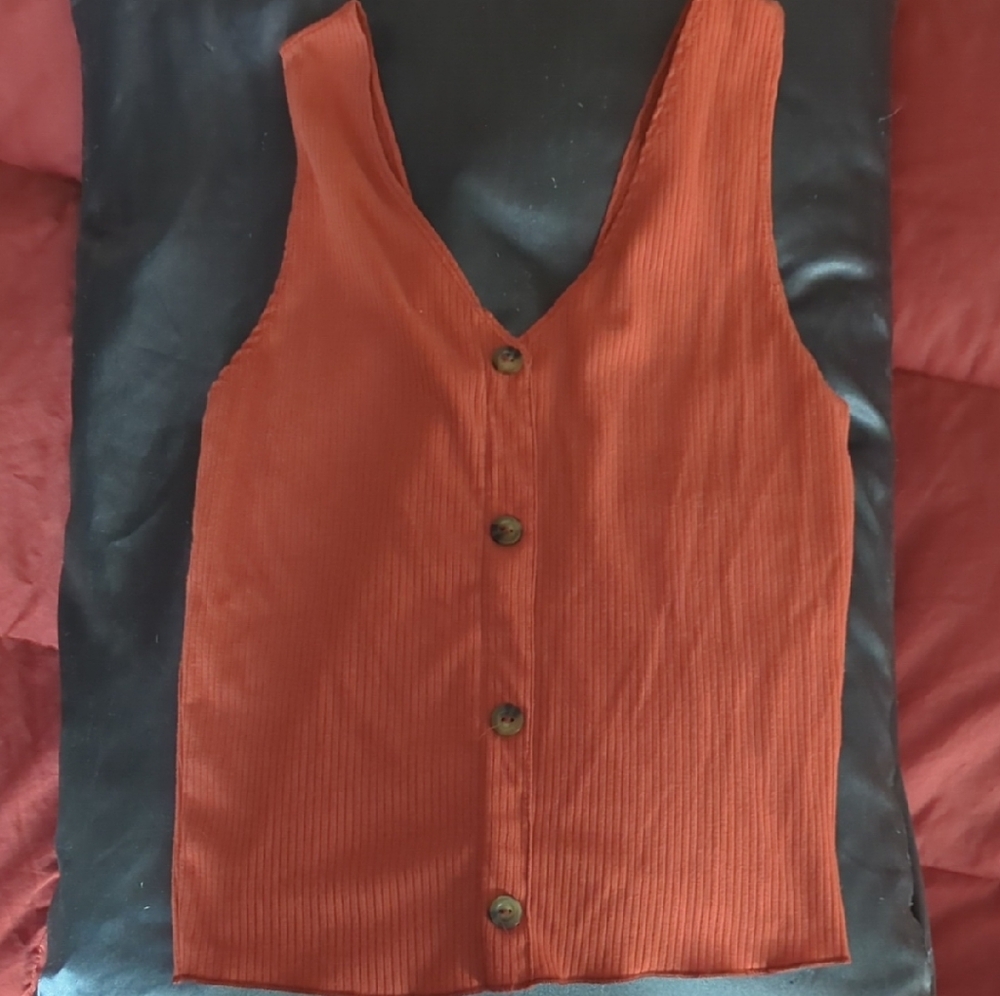Caution To The Wind Terracotta Button-Down Blouse